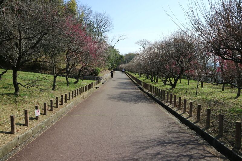 ばいりんにしがわ