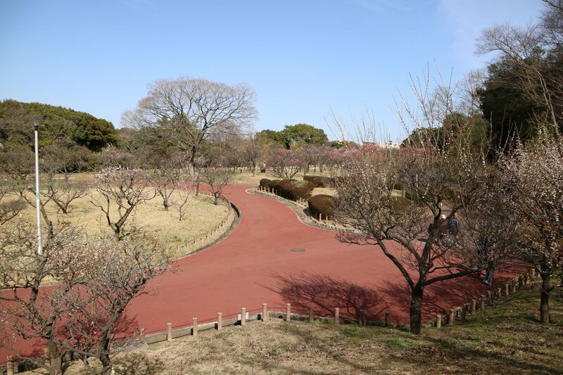 ばいりんちゅうおう