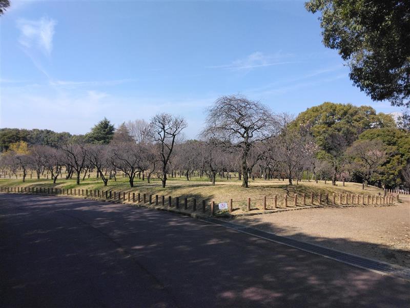 ばいりんひがしがわ