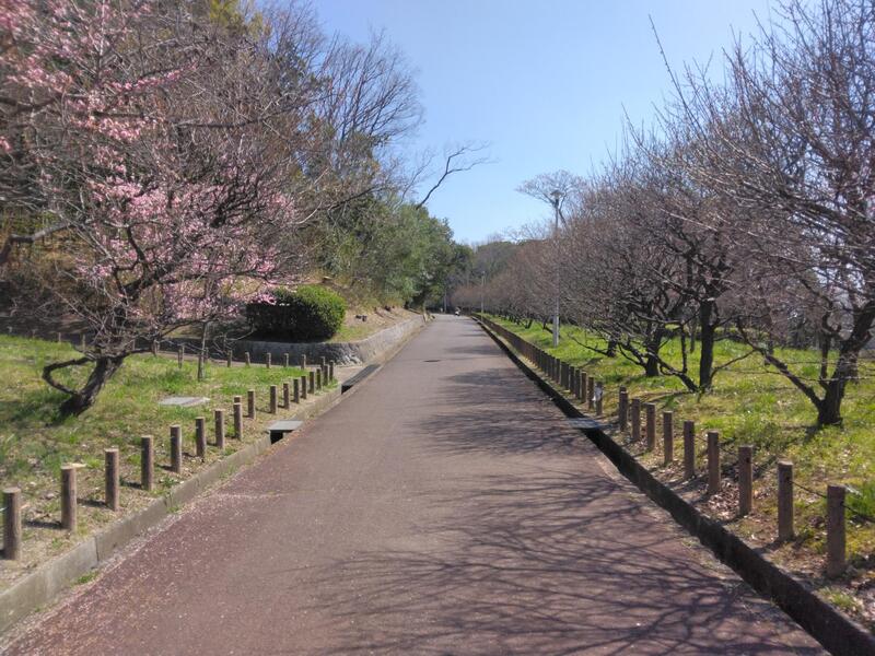 ばいりんにしがわ