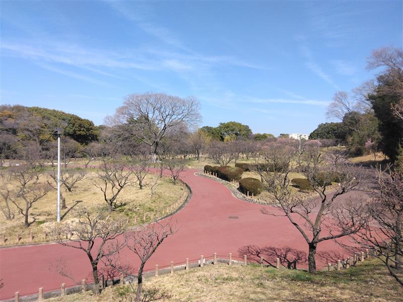 ばいりんちゅうおう