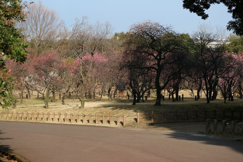 ばいりんひがしがわ