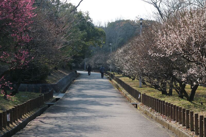 ばいりんにしがわ