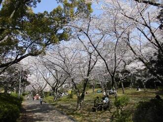 西原公園画像