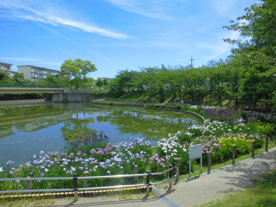 白鷺公園 しらさぎこうえん 堺市