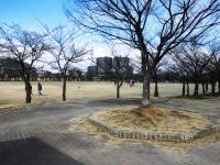 白鷺公園運動広場画像