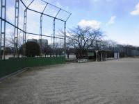 白鷺公園野球場画像