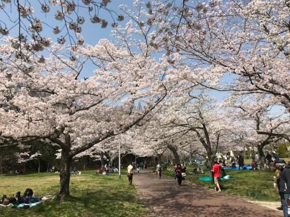 新檜尾公園