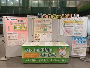 パネル展示の写真