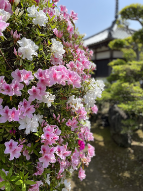 法雲寺02