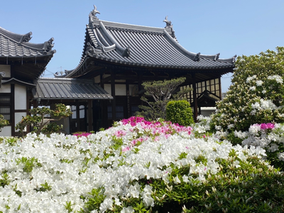 法雲寺05