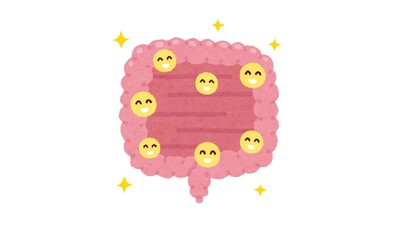腸イラスト