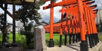 天高稲荷神社の写真