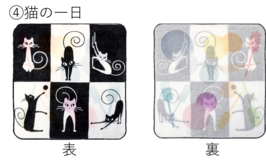 猫の一日