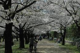 浜寺公園の写真