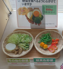 野菜のフードモデル