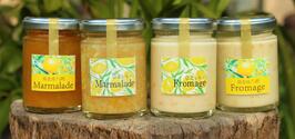 泉北レモンの街ストーリーマーマレード&フロマージュ 4本セット