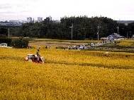 農水産業の写真2