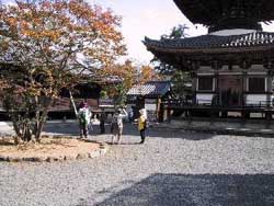 鉢ヶ峯エリア（法道寺）の写真