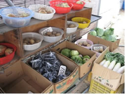 木村農産物直売所の写真2