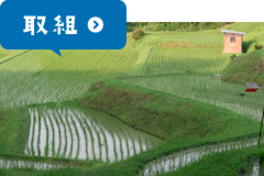 取組