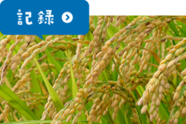 記録