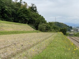 写真3