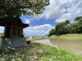 写真6