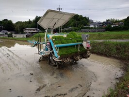 写真7