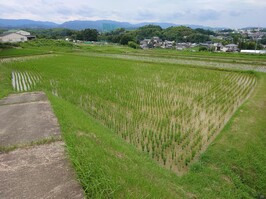 写真8