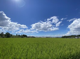 写真10