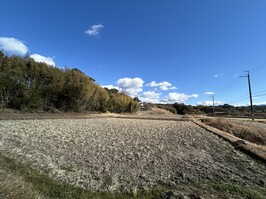 写真25