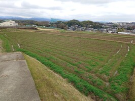 写真26