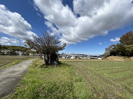 写真27
