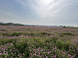 写真28