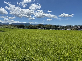 写真33