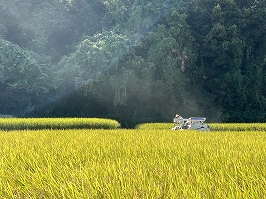 写真34