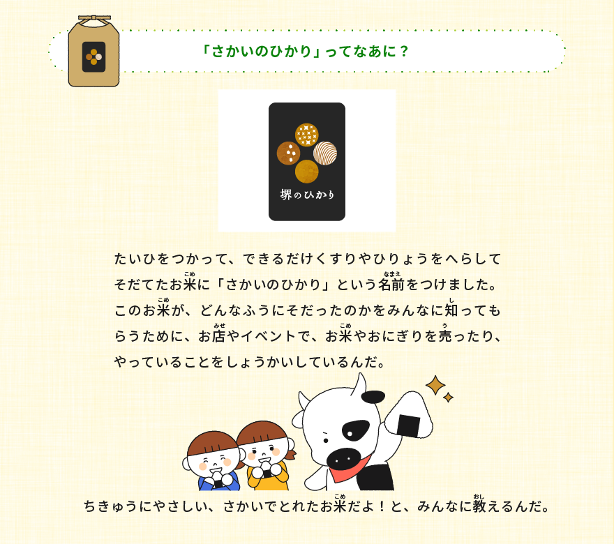 「さかいのひかり」ってなあに？ たいひをつかって、できるだけくすりやひりょうをへらしてそだてたお米に「さかいのひかり」という名前をつけました。 このお米が、どんなふうにそだったのかをみんなに知ってもらうために、お店やイベントで、お米やおにぎりを売ったり、やっていることをしょうかいしているんだ。 ちきゅうにやさしい、さかいでとれたお米だよ！と、みんなに教えるんだ。