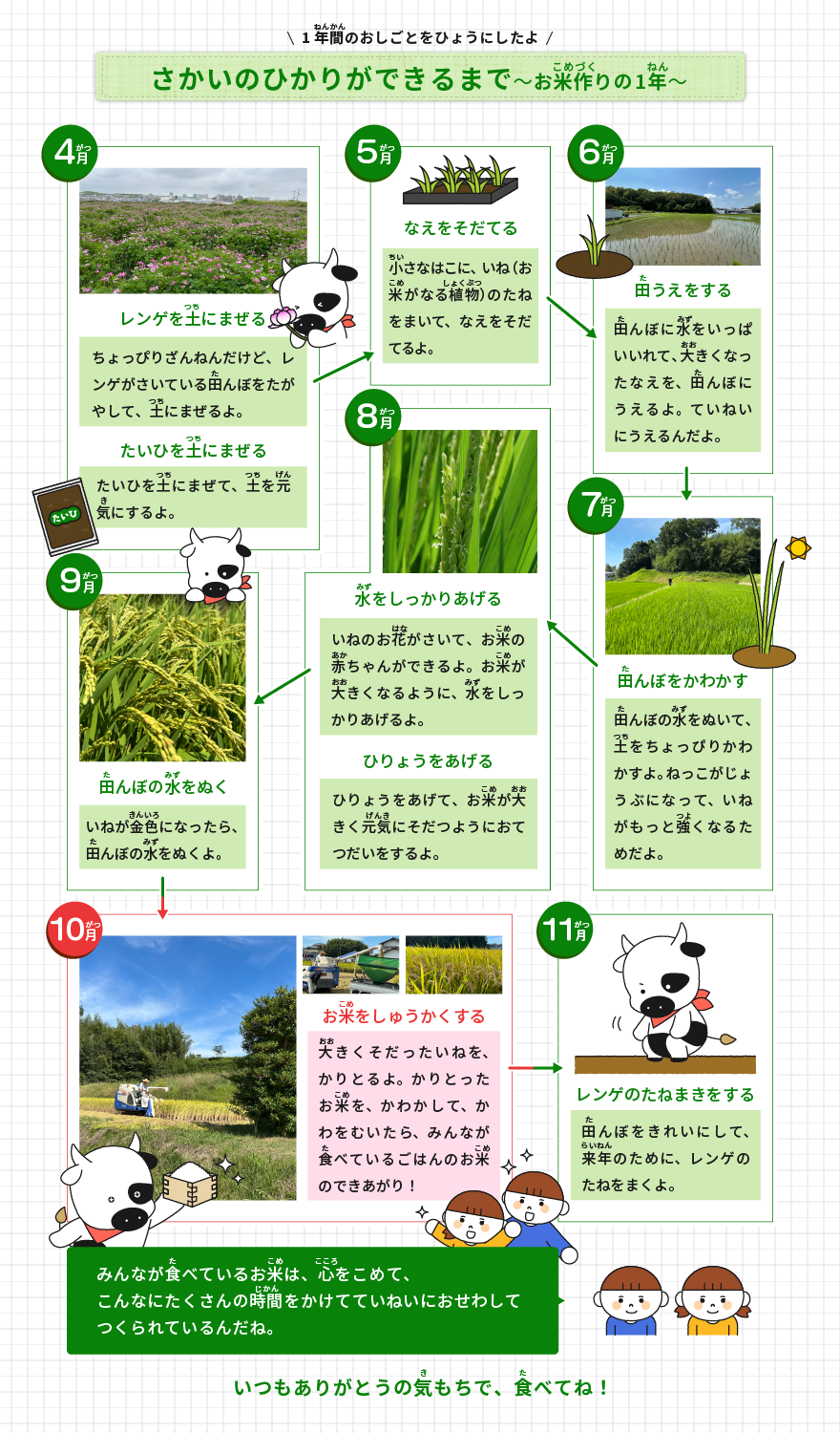 1年間のおしごとをひょうにしたよ。みんなが食べているお米は、心をこめて、こんなにたくさんの時間をかけてていねいにおせわしてつくられているんだね。 いつもありがとうの気もちで、食べてね！