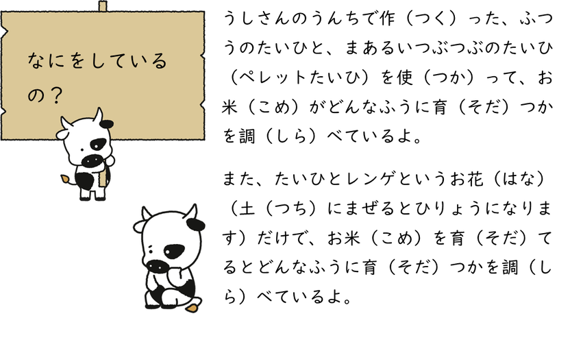スライド4