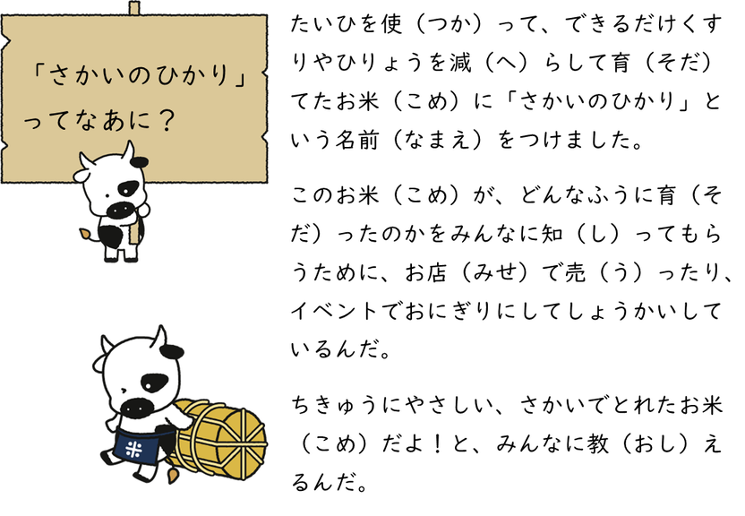 スライド5
