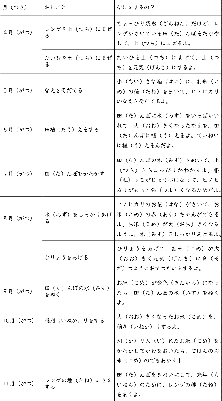 お米の育て方