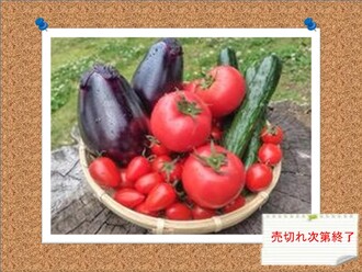 6月28日（土曜）アリオ鳳で「堺のめぐみ」を販売します。売切れ次第終了します。