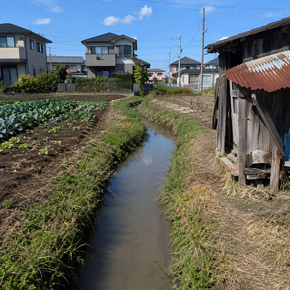水路の画像