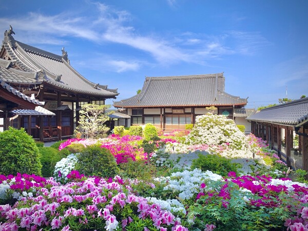 法雲禅寺