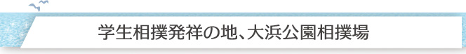 学生相撲発祥の地、大浜公園相撲場