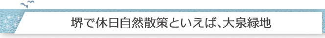 堺で休日自然散策といえば、大泉緑地