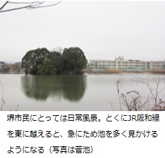 堺市民にとっては日常風景。とくにJR阪和線を東に越えると、急にため池を多く見かけるようになる（写真は菅池）