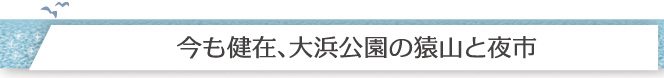 今も健在、大浜公園の猿山と夜市