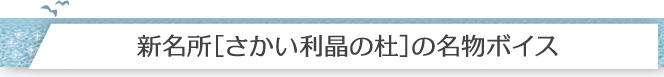 新名所[さかい利晶の杜]の名物ボイス